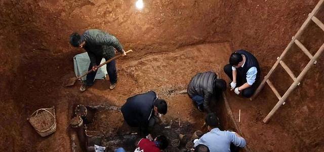 瓦力游戏app回顾浙江挖出一口金丝楠木棺